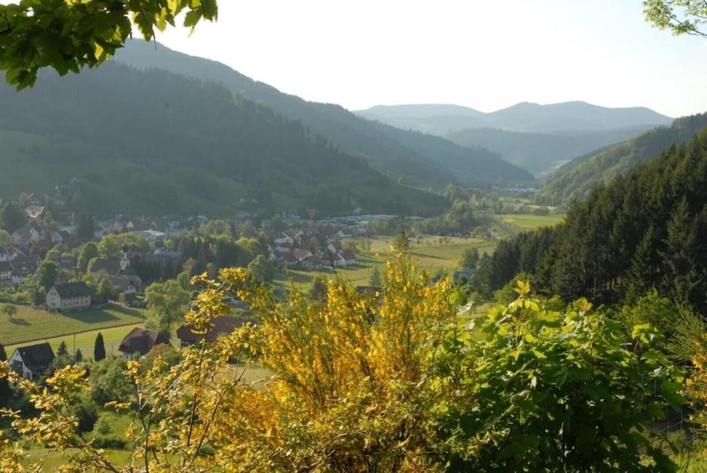Oberbauernhof - Wohnung "Am Garten" -- Moderne Fewo Im Schoenen Schwarzwaldhaus Гутах Экстерьер фото