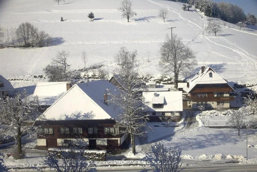 Oberbauernhof - Wohnung "Am Garten" -- Moderne Fewo Im Schoenen Schwarzwaldhaus Гутах Экстерьер фото